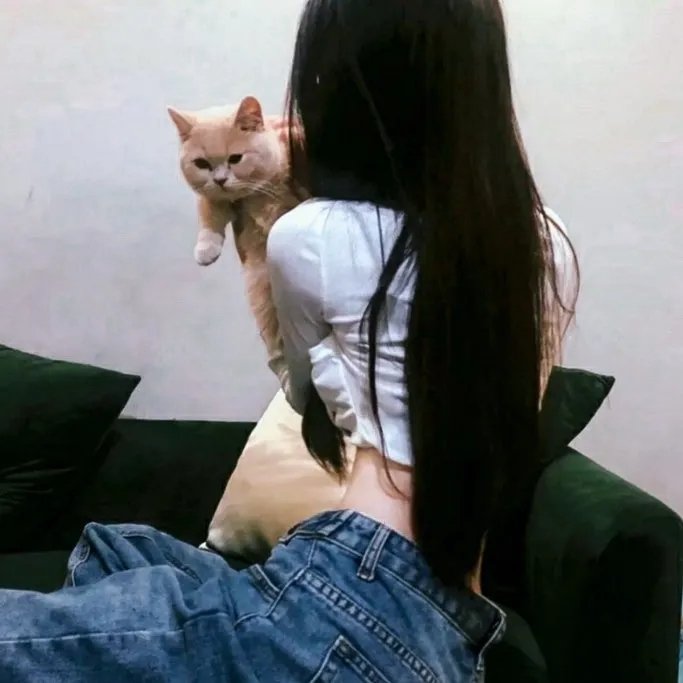 奥运会帆船赛明星